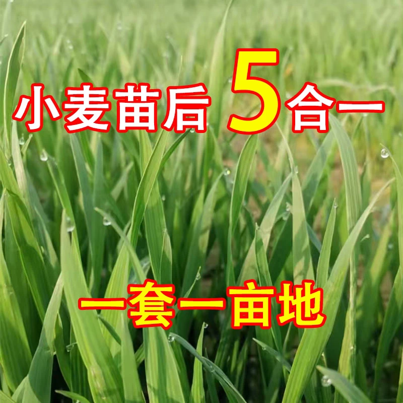 【五合一】小麦苗后技术包小麦苗后专用叶面肥