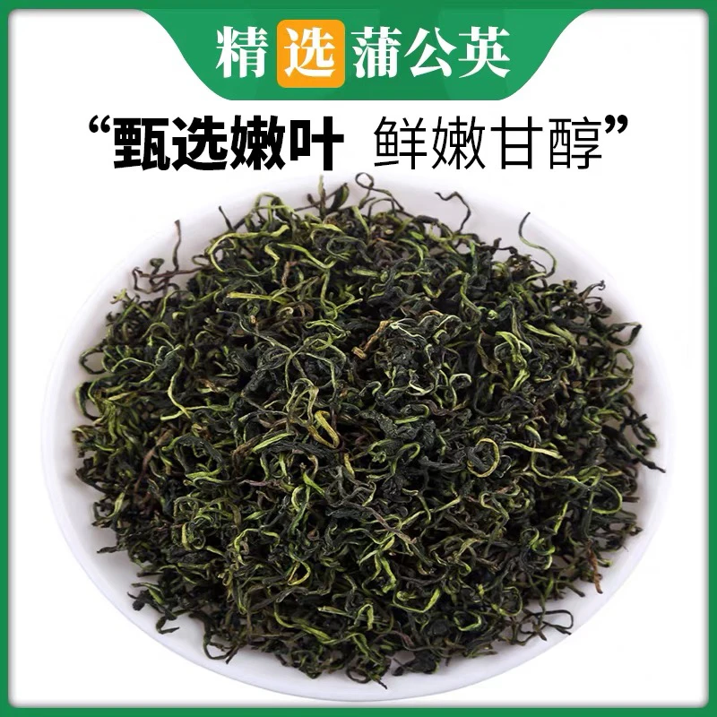 高山自晒蒲公英茶