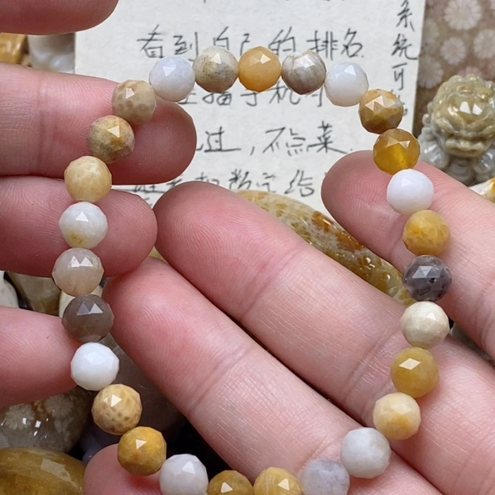 颈饰未镶嵌硅化珊瑚（珊瑚玉）