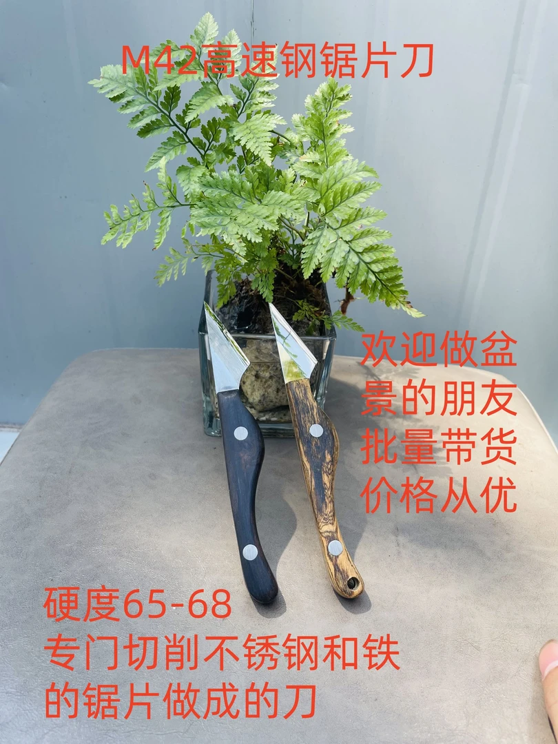 M42高速钢68高硬度实木刀柄手工园艺嫁接刀盆景果树专用芽接工具