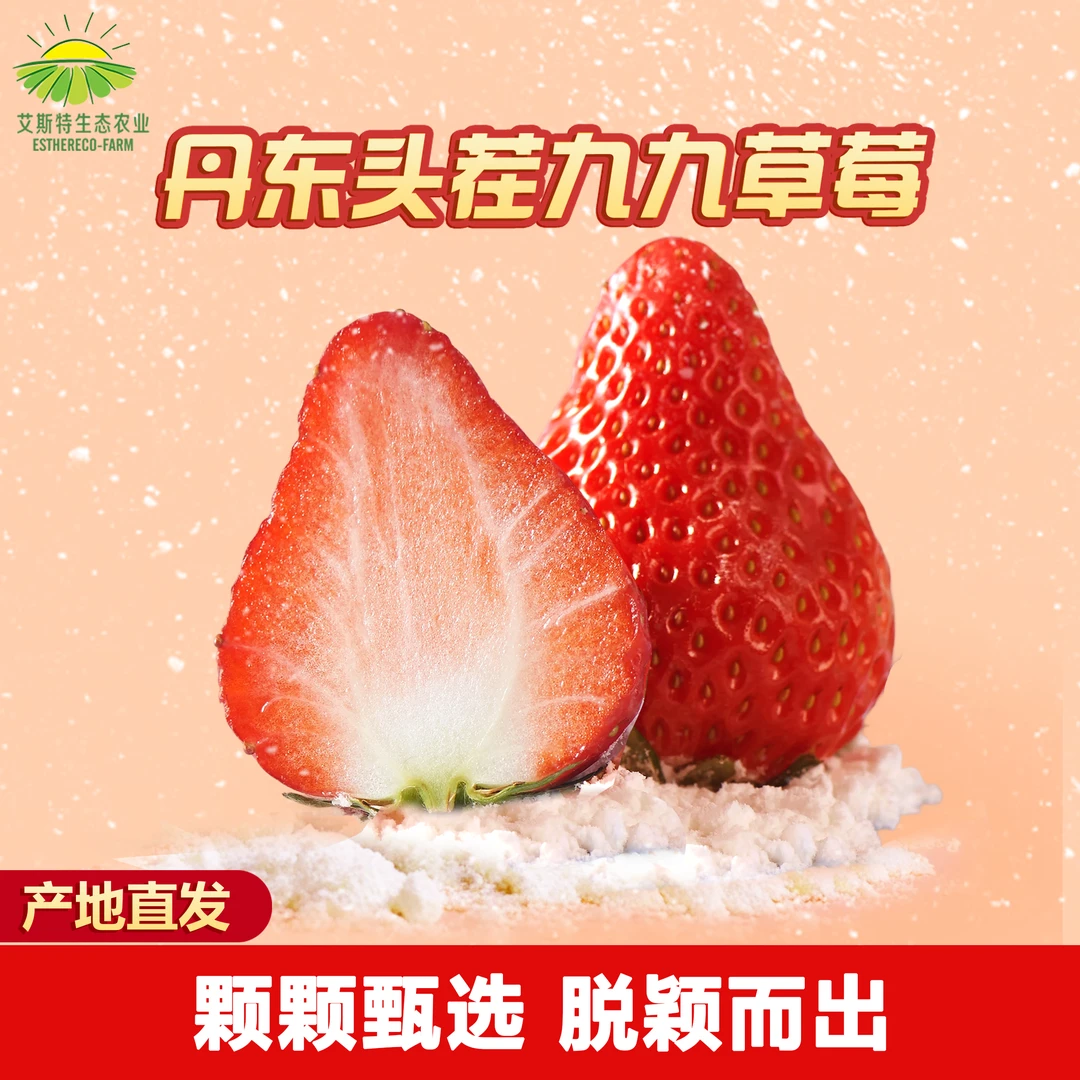 正宗头茬丹东红颜99牛奶草莓1.8-2.8斤产地直发空运d