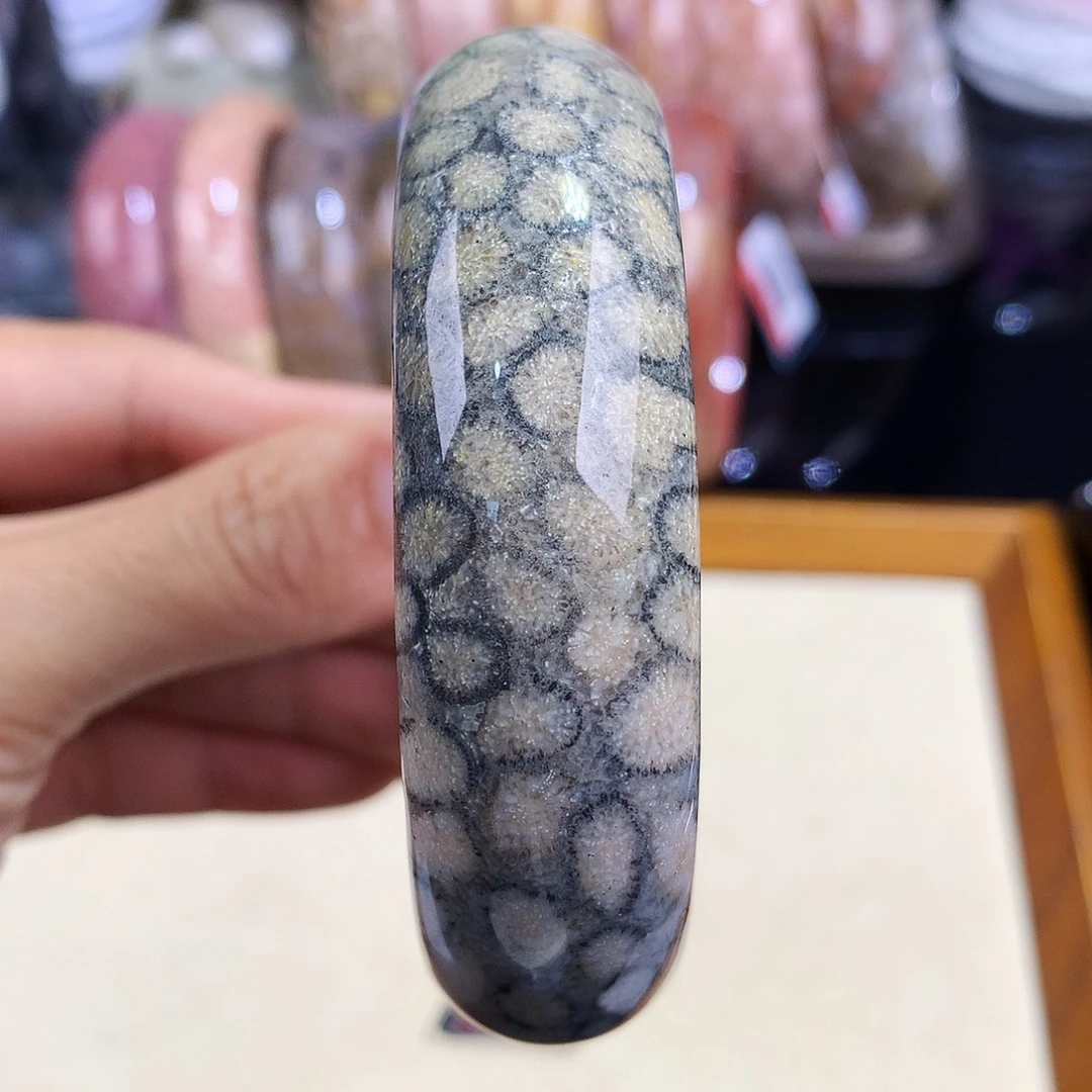 硅化珊瑚（珊瑚玉）未镶嵌吊坠(赠链)49号60圈口