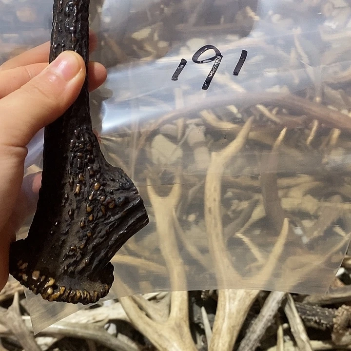 用***9非金属鹿角鹿角鹿角