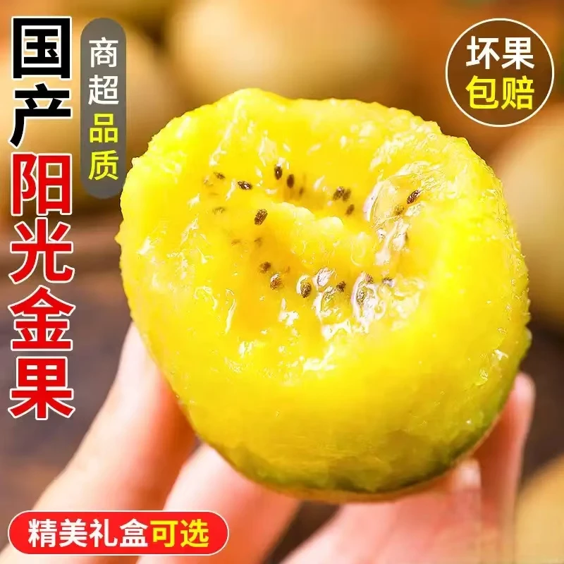 正宗河南西峡阳光金果国产奇异果黄心猕猴桃当季新鲜水果礼盒中秋