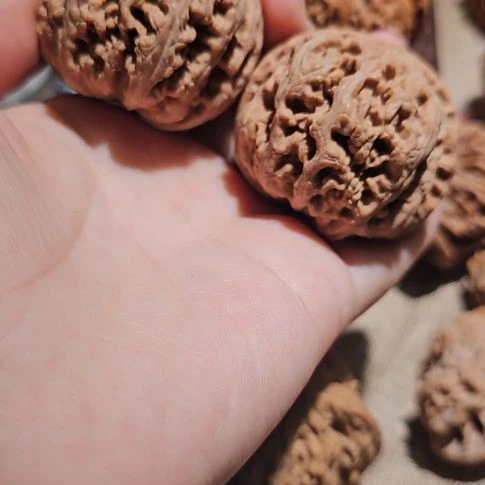 文玩核桃吊坠44粗筋