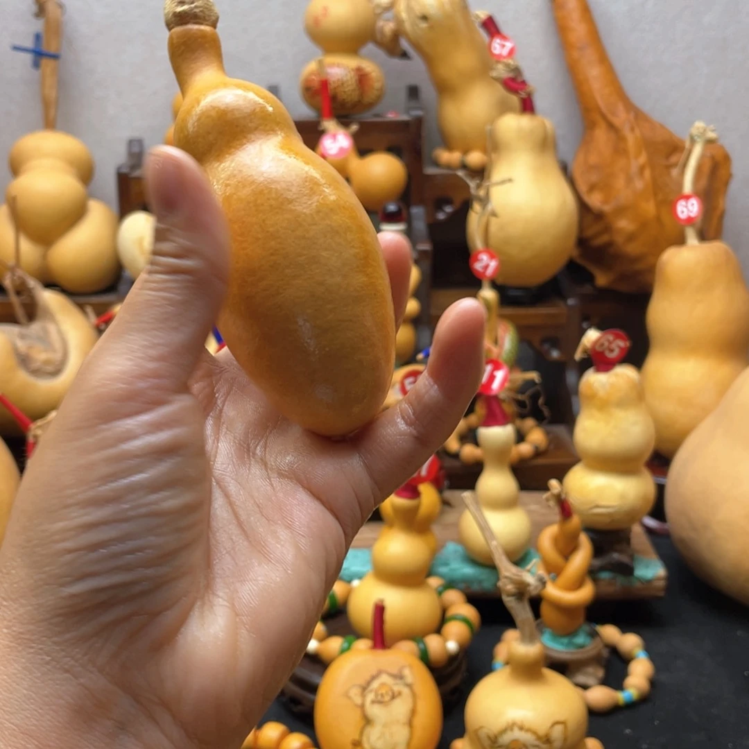 生**花大自然的秘密第十一节的秘密