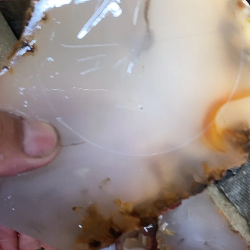 【闪购商品】定制玛瑙天****r纯天然玛瑙