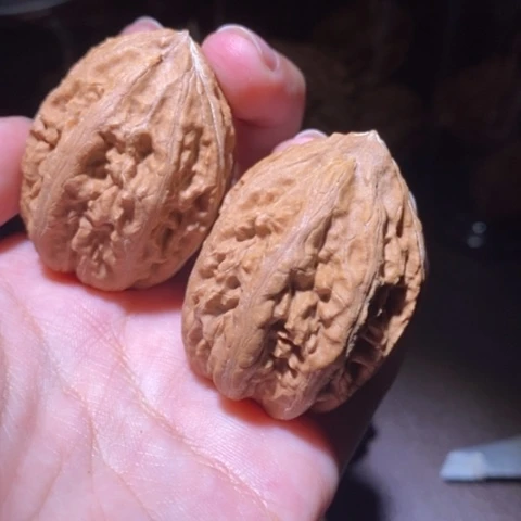 把件文玩核桃东北野生楸子小园 108
