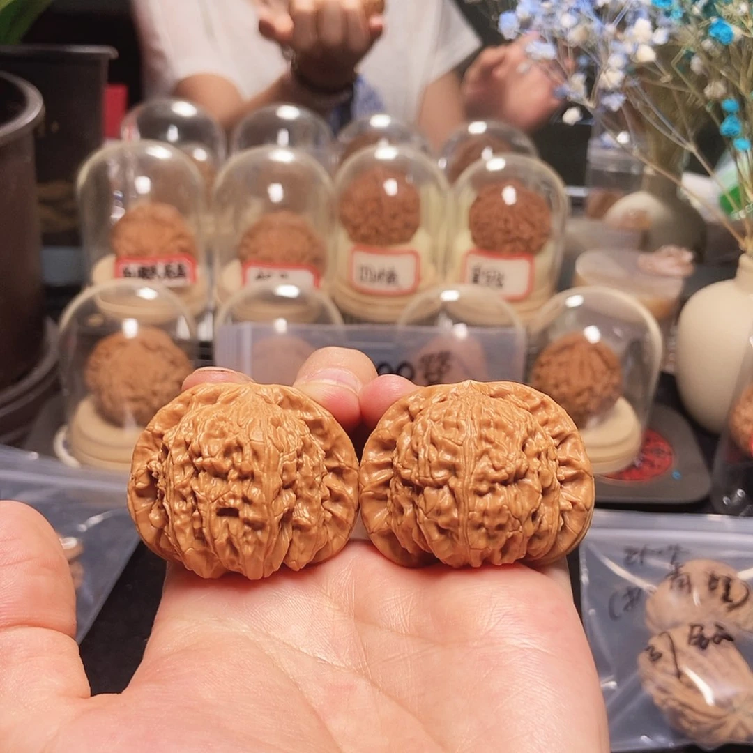 S**H44球白狮子头有修精打底