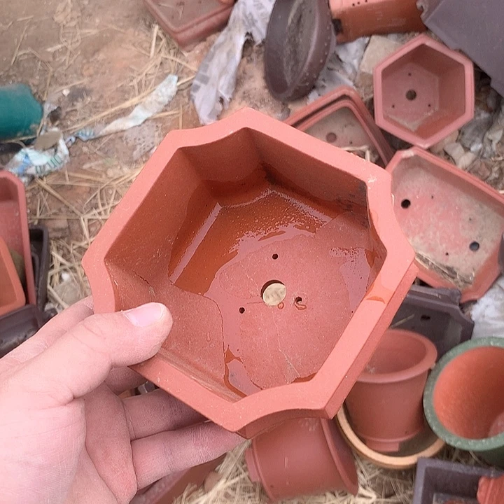 紫砂优秀青年科技人才创新人才