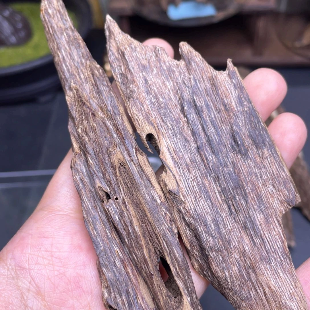 走***客20.1克海南临高黑油虫漏