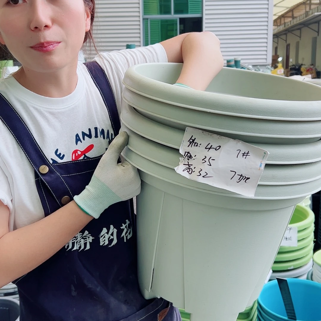 青山盆7#米白5个无托