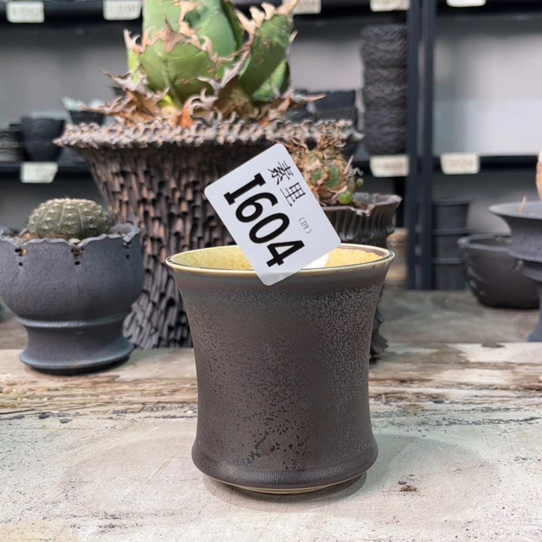 陶内口8.3高9景德镇