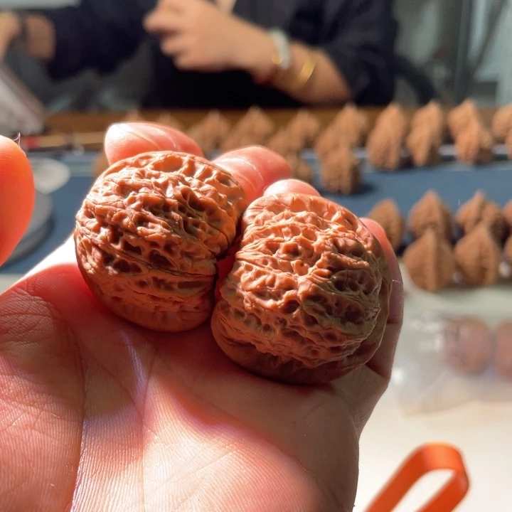 38尺寸血麒麟嘎嘎红