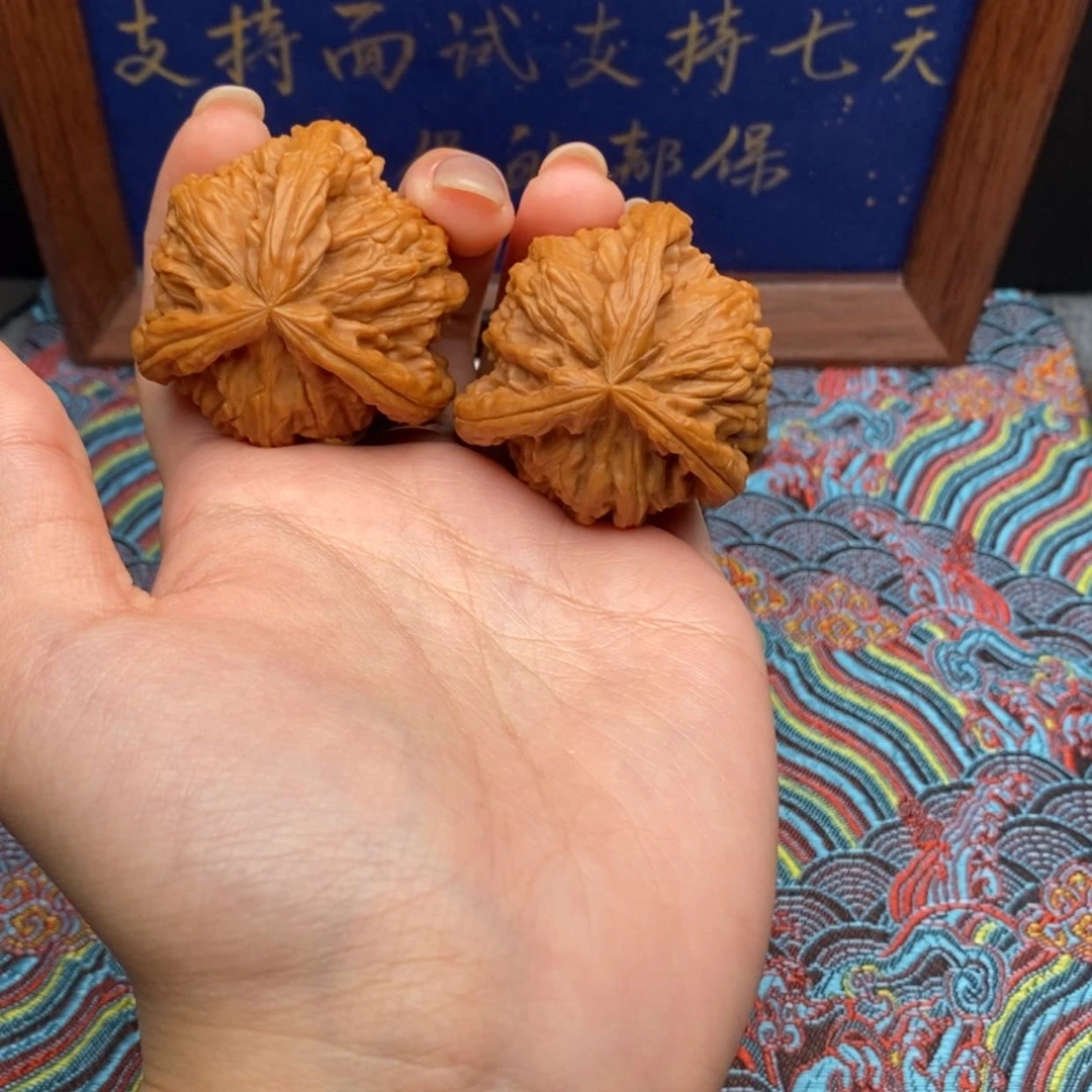 【闪购商品】原*白狮