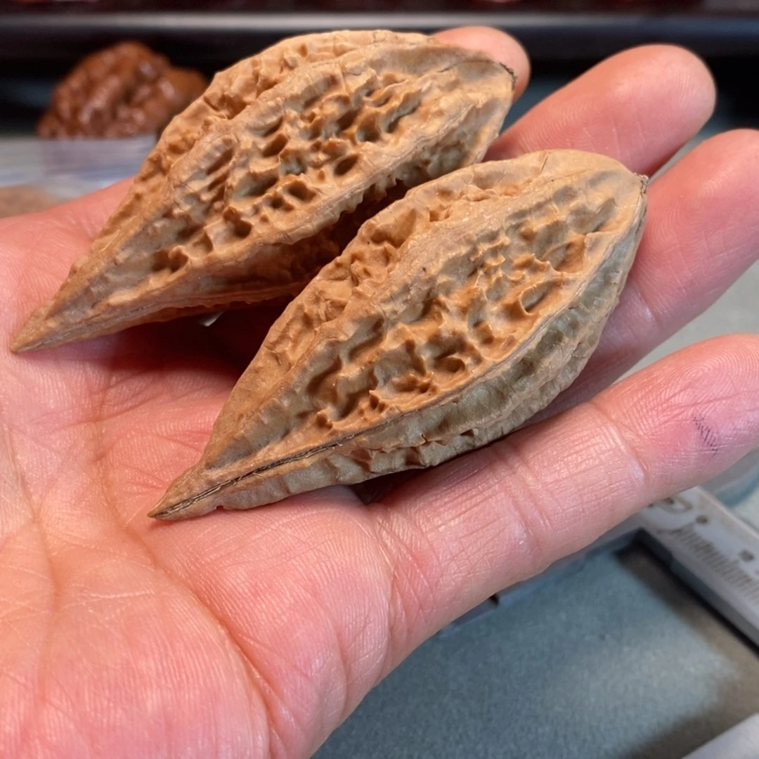 把件文玩核桃16文玩核桃把件