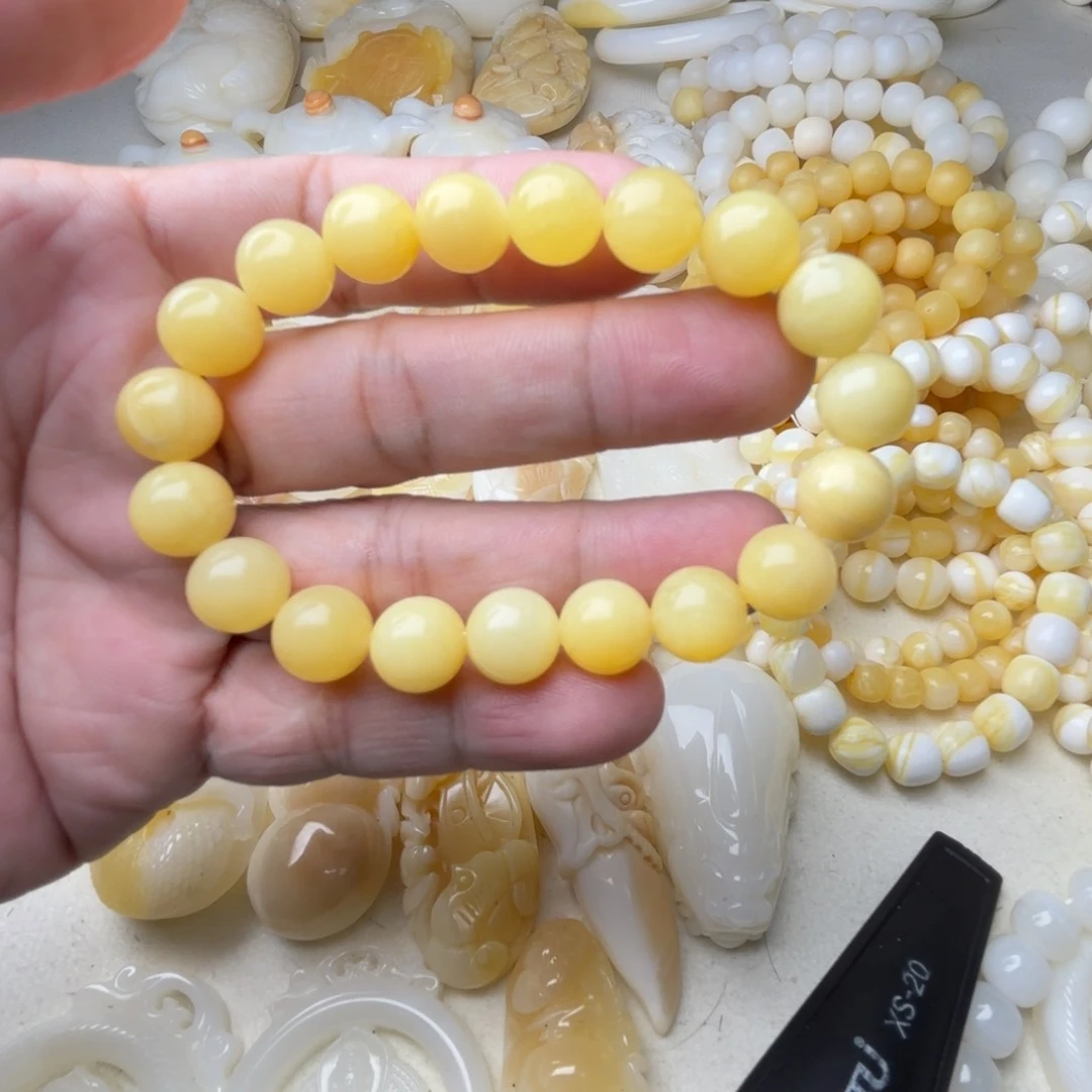 非金属贝壳大***形天然贝壳