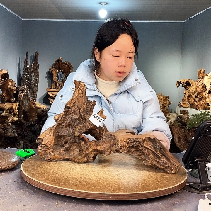 茶盏许*辉473株木的随行的根艺