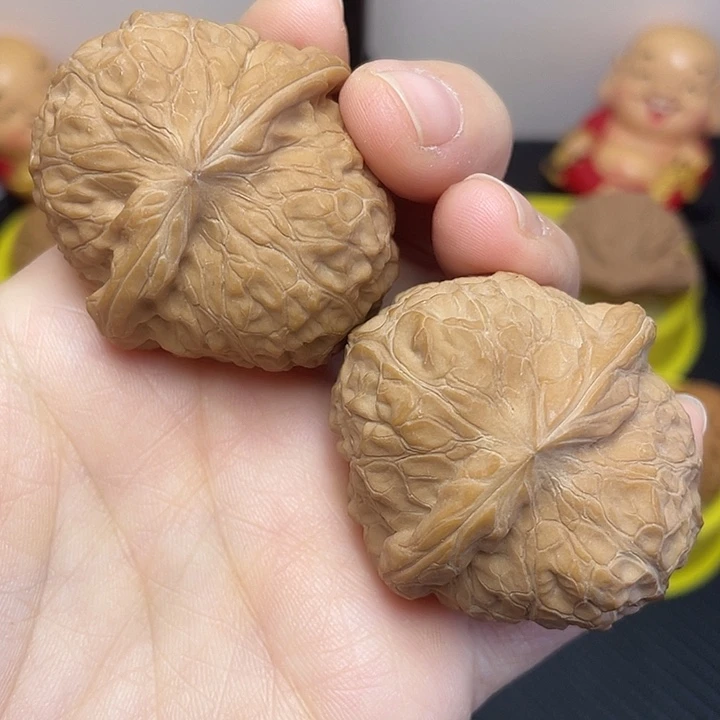 南瓜墩41全品。