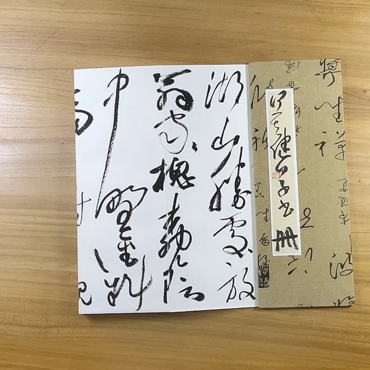 书法中书协老师作品