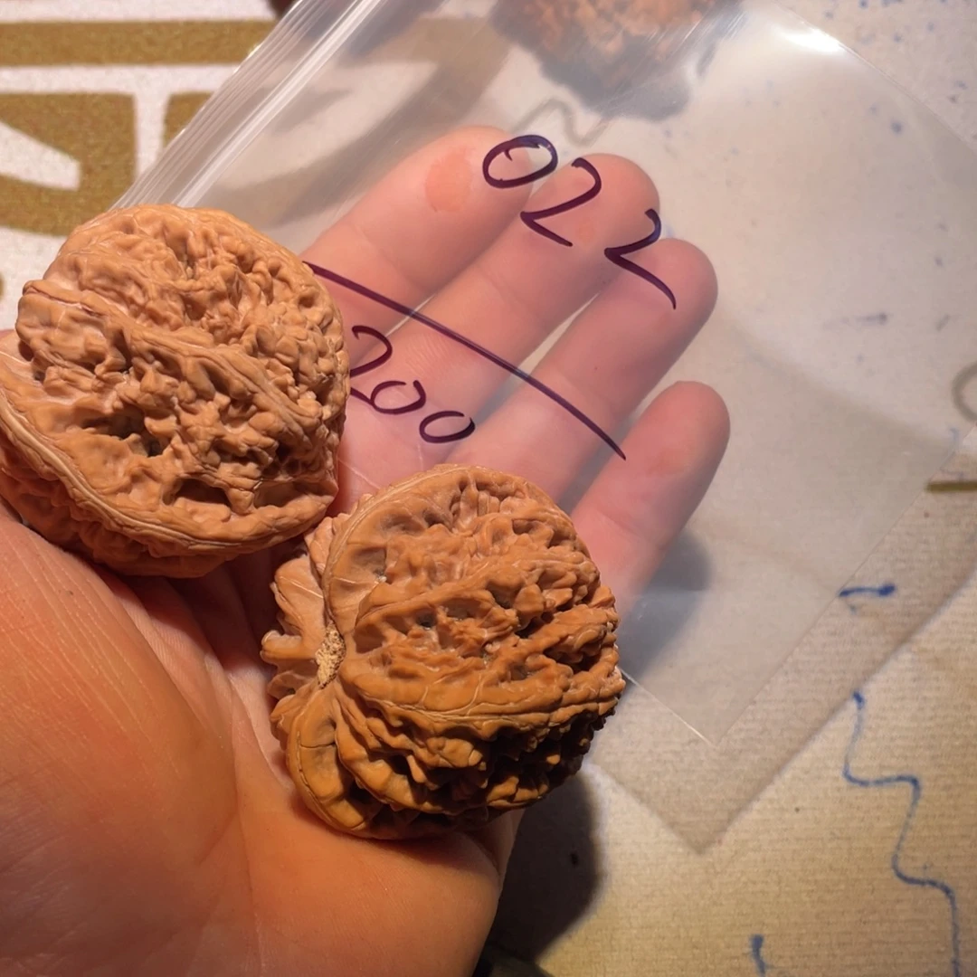 *****核桃手串/手链022