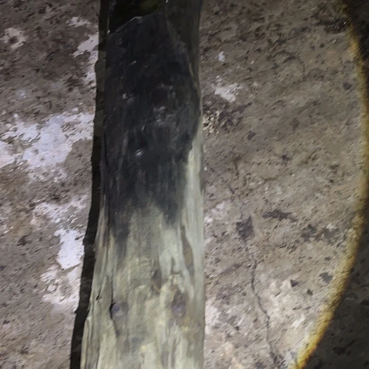 天***天乌木金丝楠摆件毛料