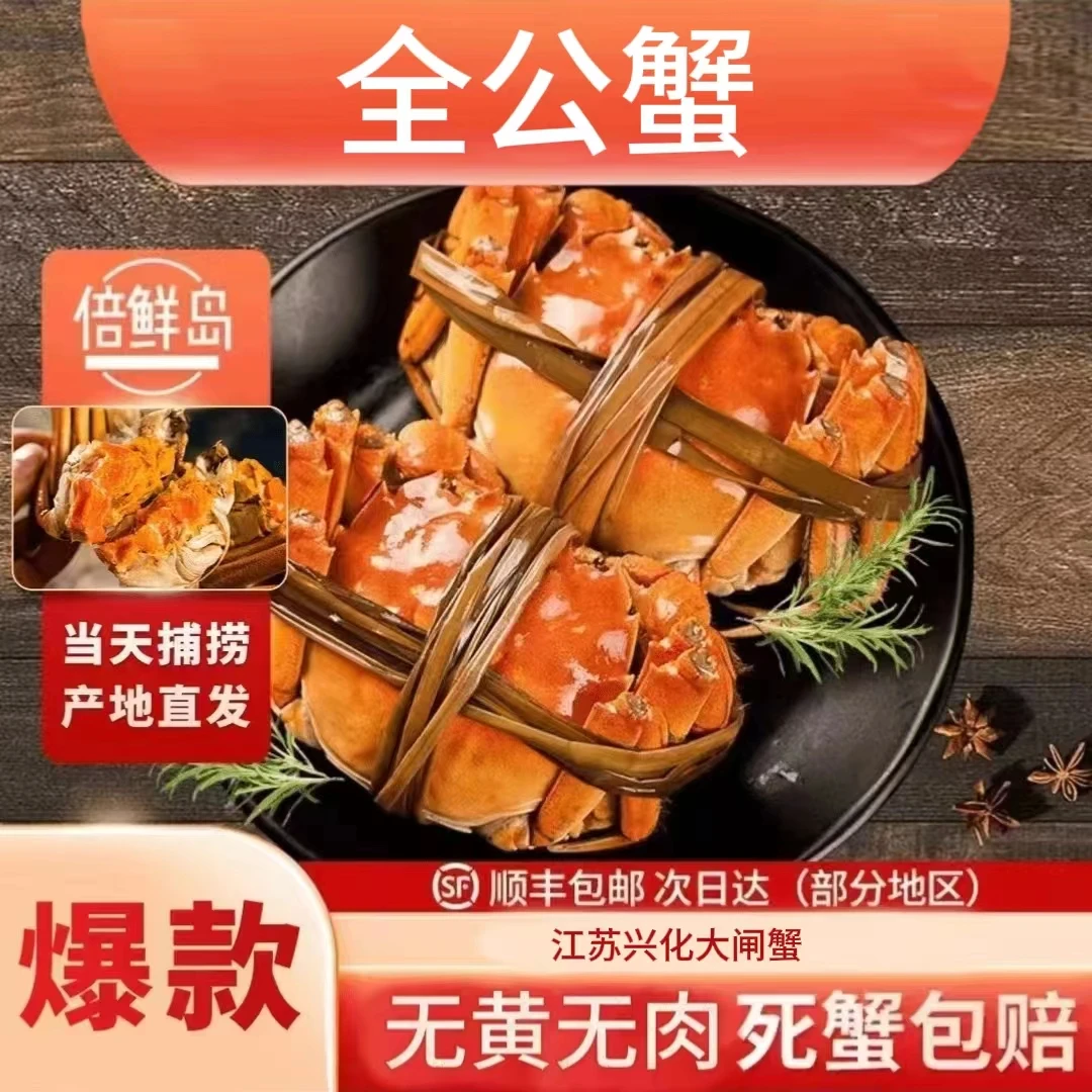 【活蟹现发】全公蟹3.5两10只装江苏兴化大闸蟹顺丰京东