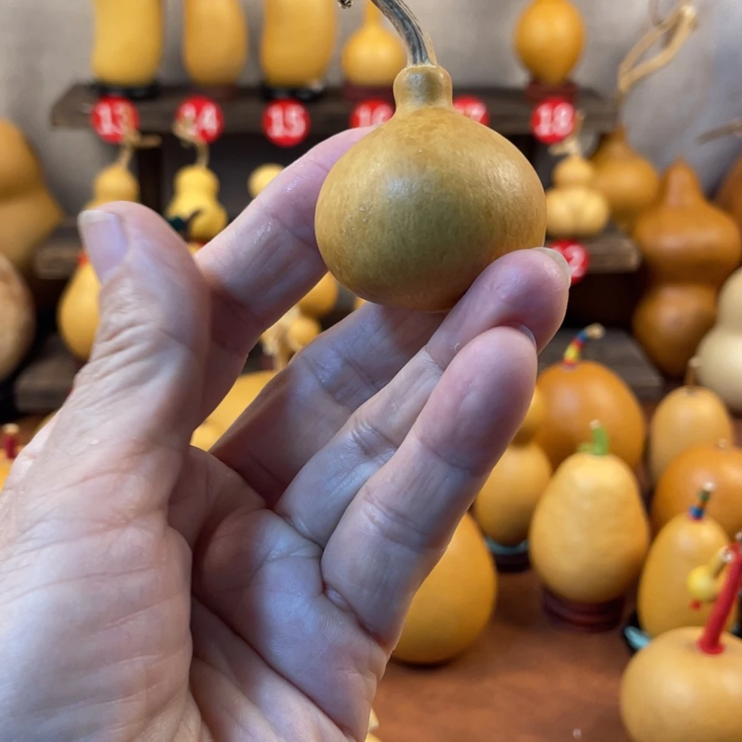 八***斤葫芦哈哈哈哈哈哈哈哈