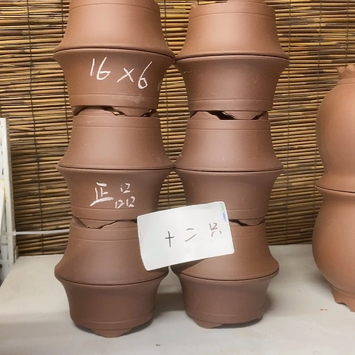 紫砂花盆我在外面