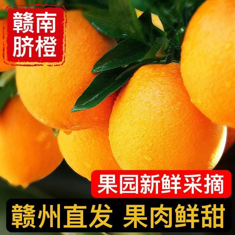 正宗赣南脐橙橙子现摘当季整箱冰糖甜橙香甜爆汁新鲜应季水果