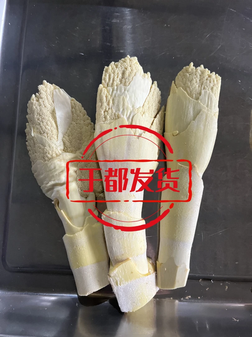 于都棕包江西赣南特产棕贝新鲜棕苞蔬菜棕包米棕包花带壳发货