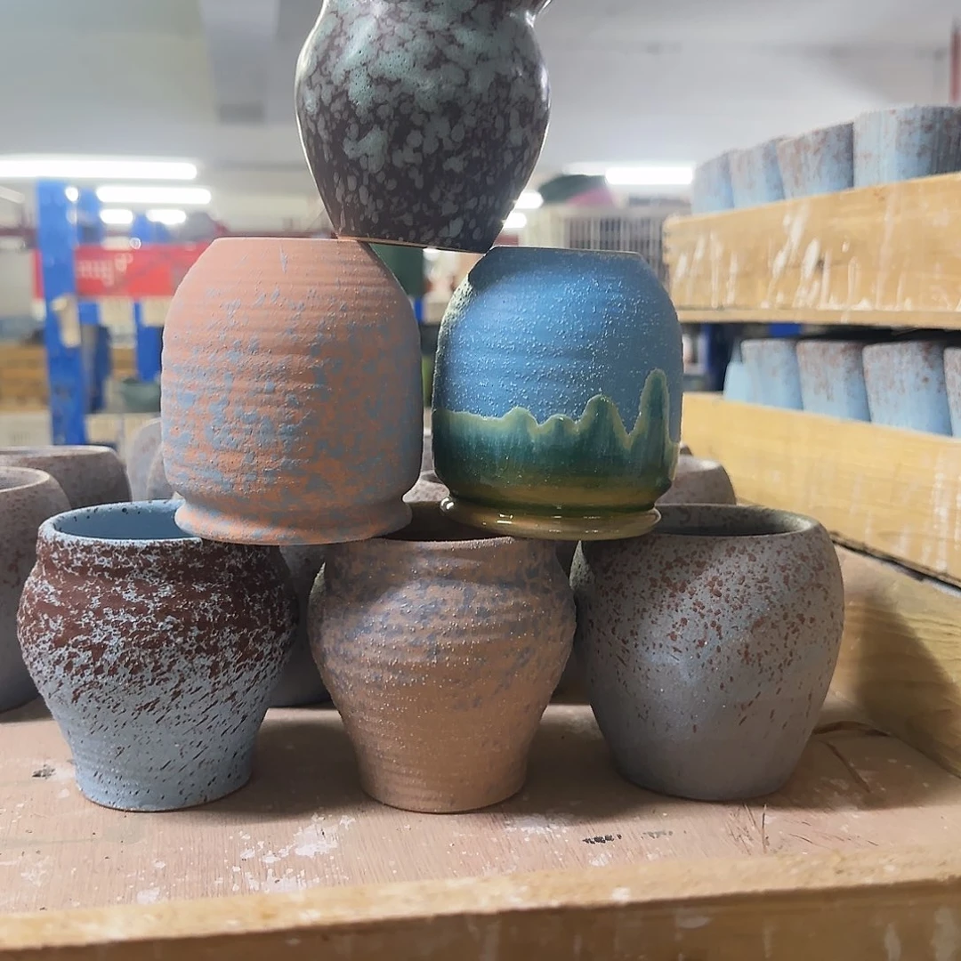 6个福利局绿植多肉盆［凑9元包邮24小时发］