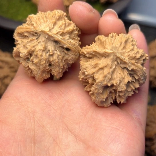 文玩核桃吊坠秦岭核桃17