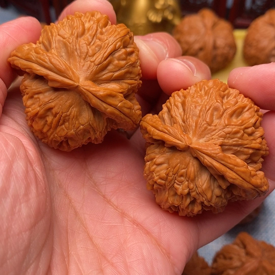 把件文玩核桃毕业全品白狮子43尺绝配