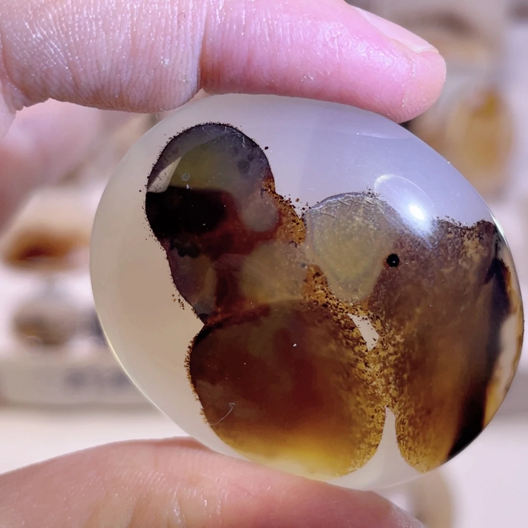 玛瑙/玉髓颈饰未镶嵌有扣