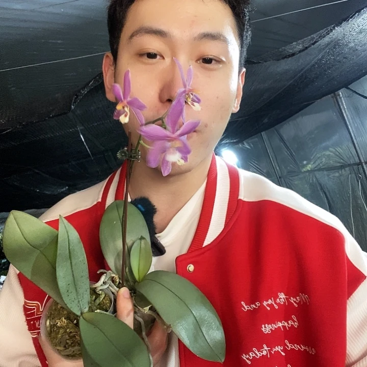 无花朵西交黑曼妮