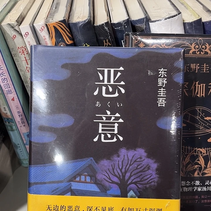 恶意全新精装一本