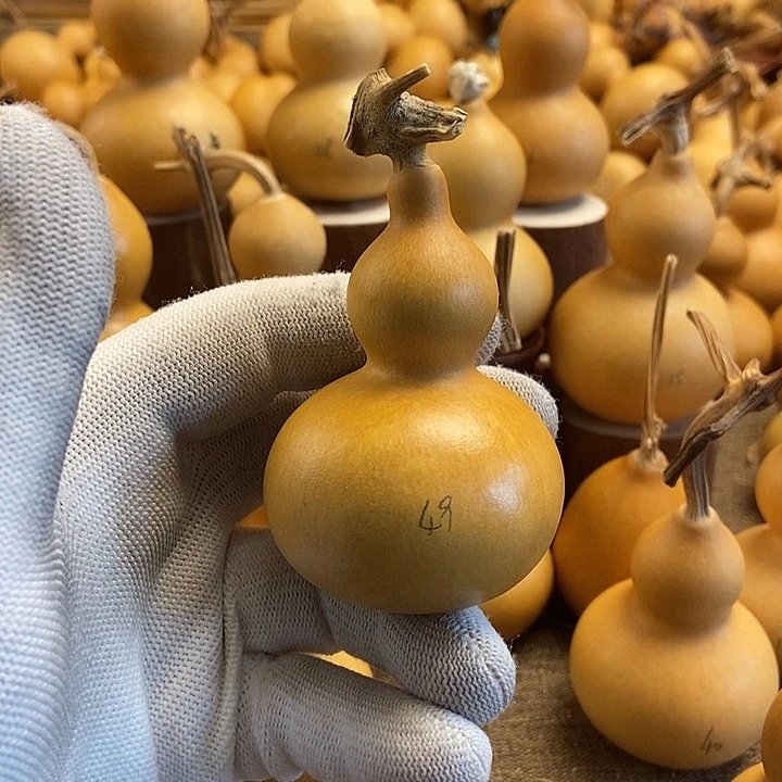 文玩葫芦 完美主义者 慎拍49