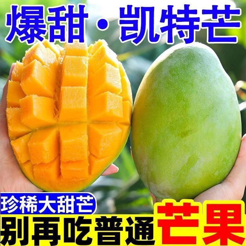 变软吃 正宗四川攀枝花凯特芒果 新鲜水果香甜肉厚 坏果包赔