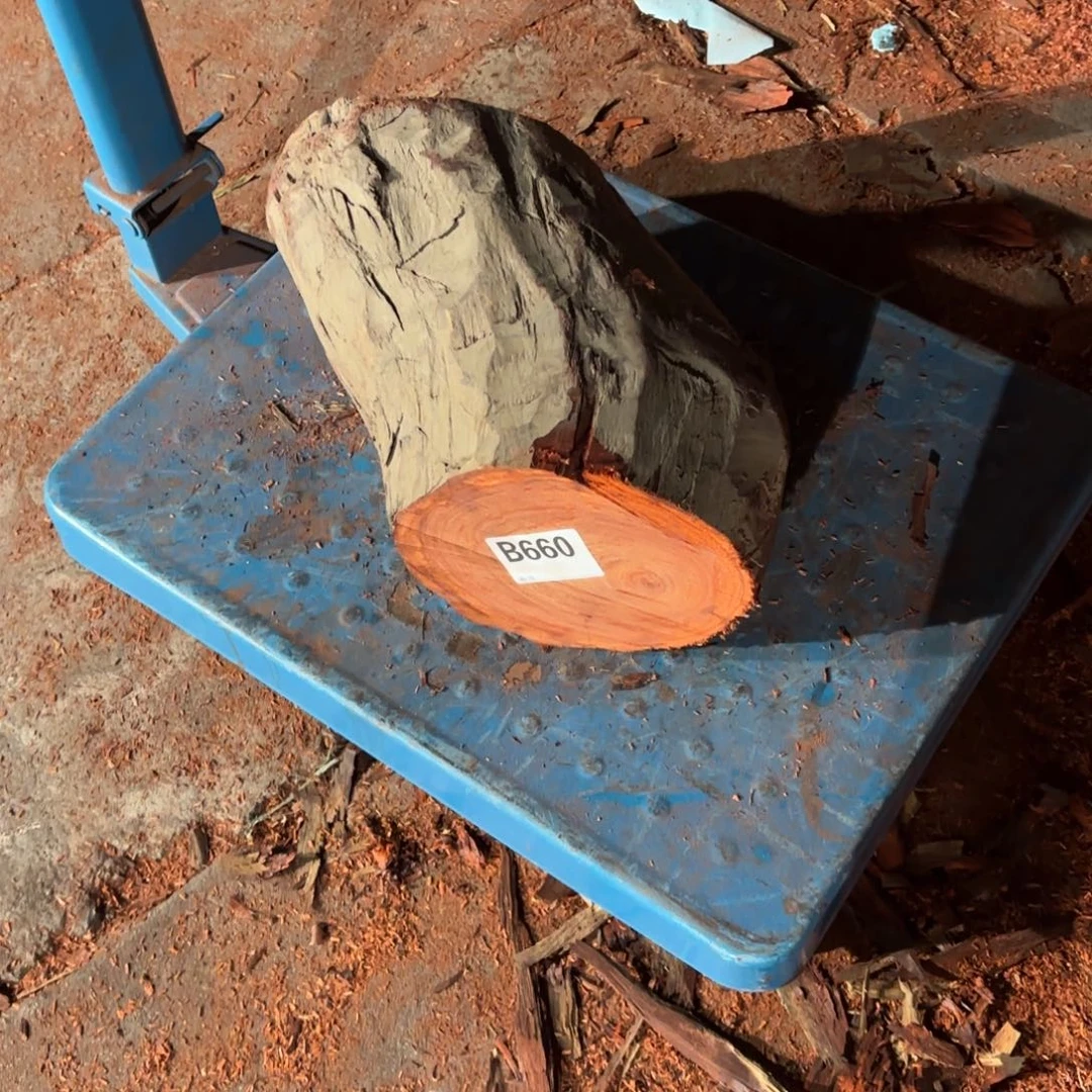 一物一拍血檀编码660