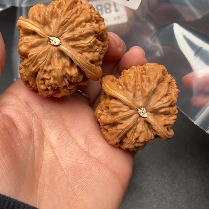 文玩核桃把件192号粗筋
