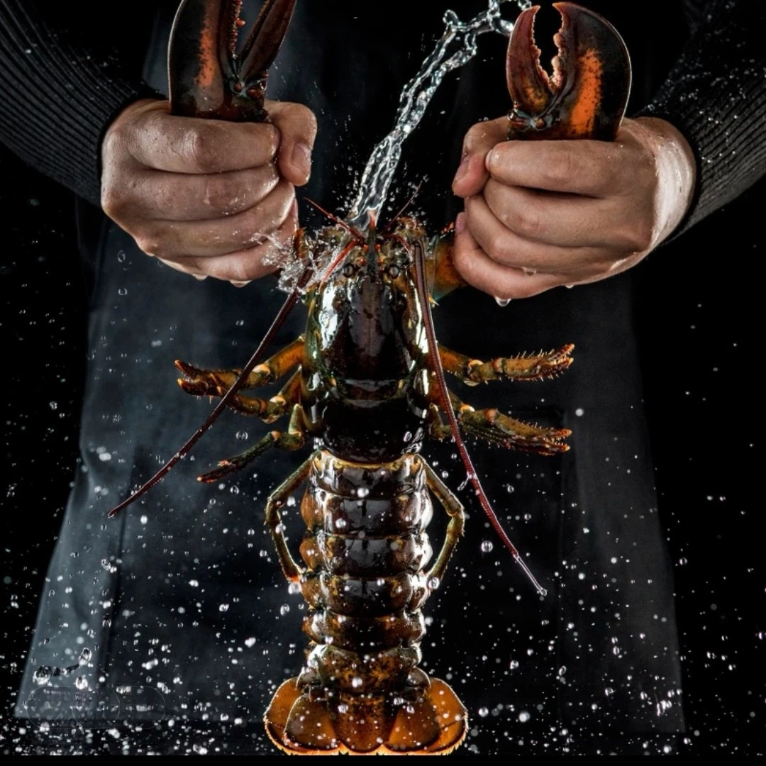 【日鲜仓】鲜活加拿大波士顿龙虾 顺丰送货上门