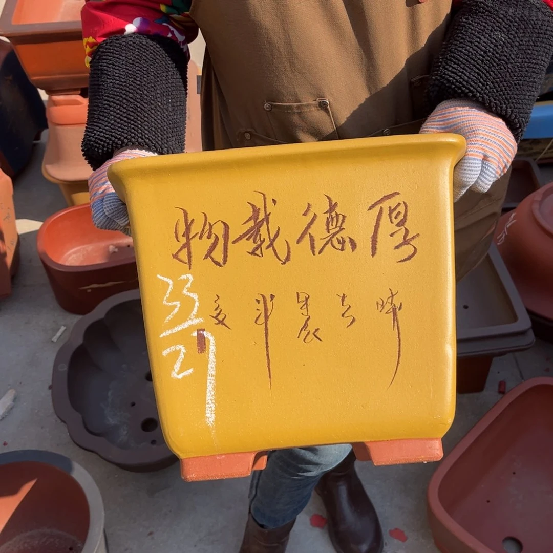 紫砂花盆盆景艺术