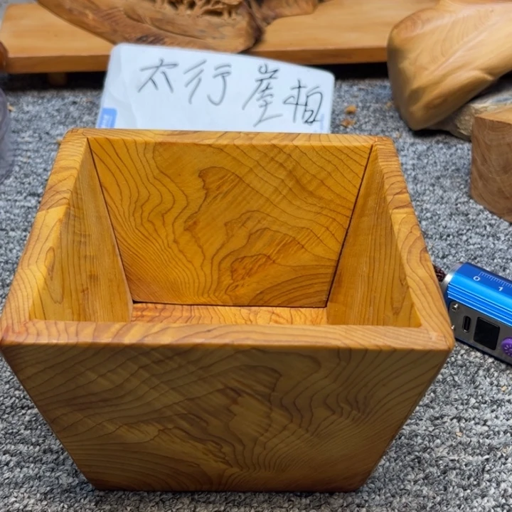 柏木（崖柏）崖柏169