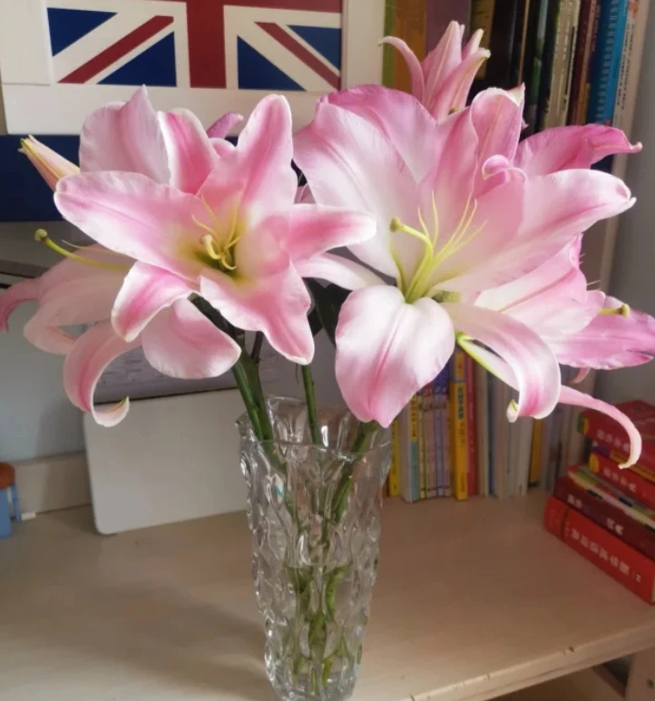 【新疆花之溪】星光百合 单头10枝（10%-20%不赔付）介意勿拍