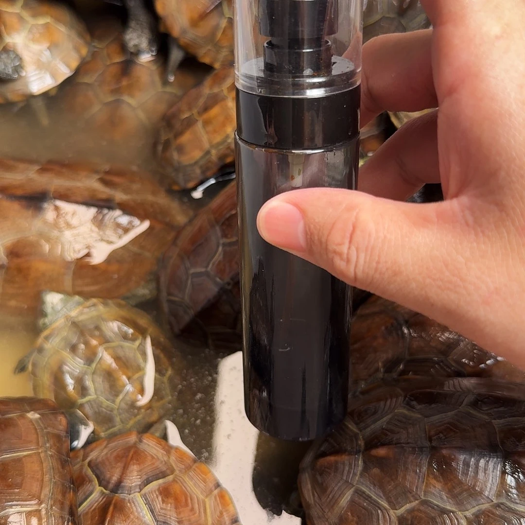 母绿毛龟6666666666