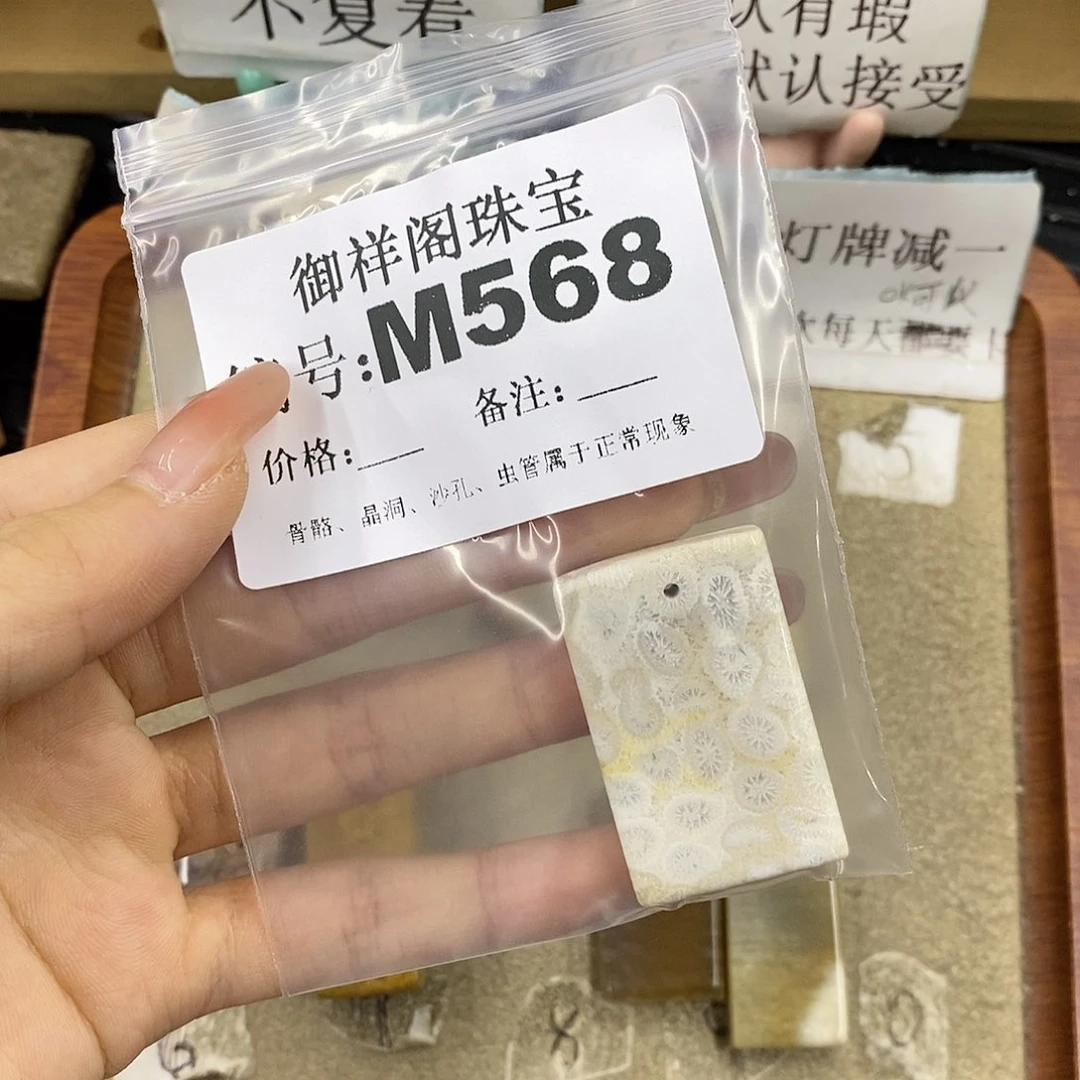 硅化珊瑚（珊瑚玉）未镶嵌颈饰蜜*欢