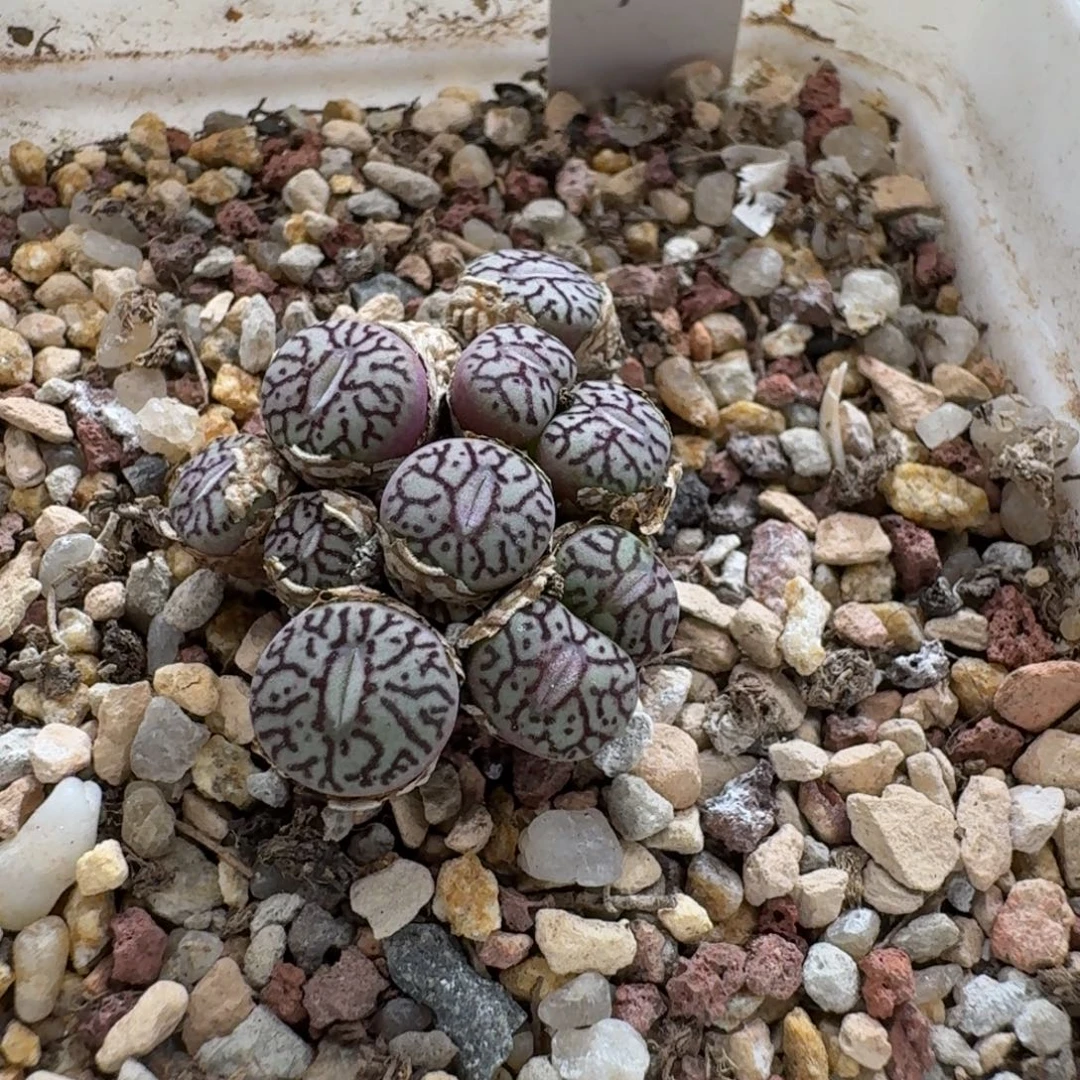 伊***～ 0913-06墨墨墨墨墨墨