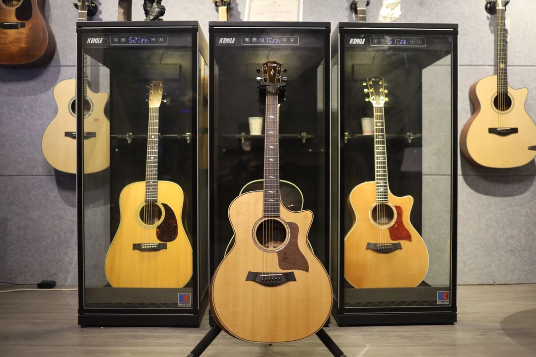 泰莱 Taylor 814ce 吉他 2020