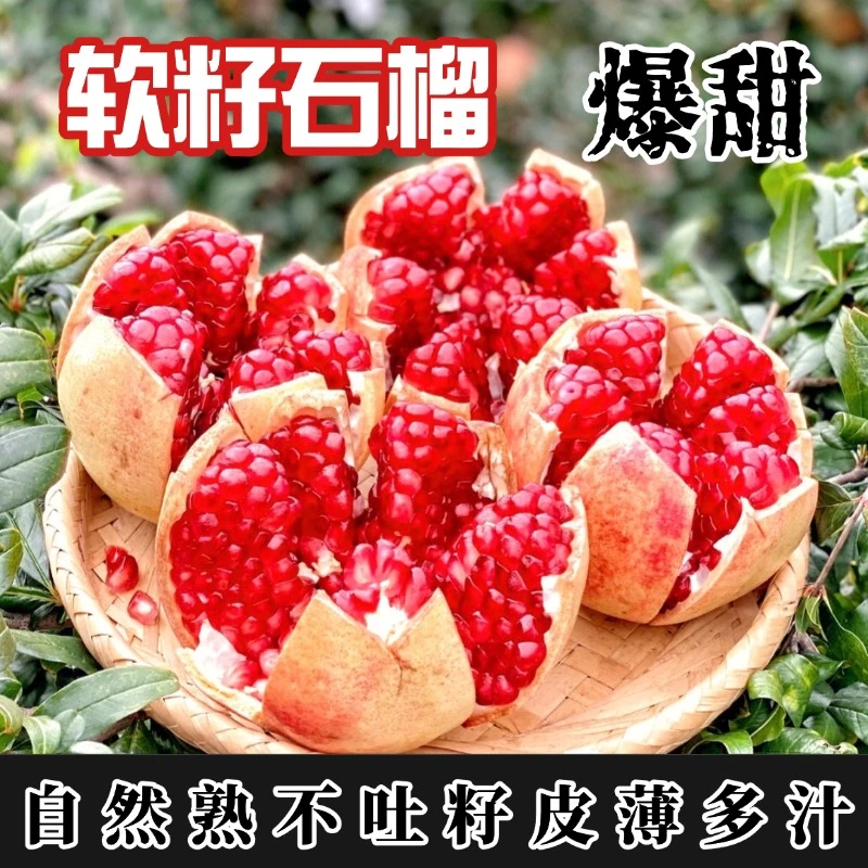 9-13【明日达】会理软籽石榴四川会理突尼斯软籽石榴新鲜水果现摘现发四川省